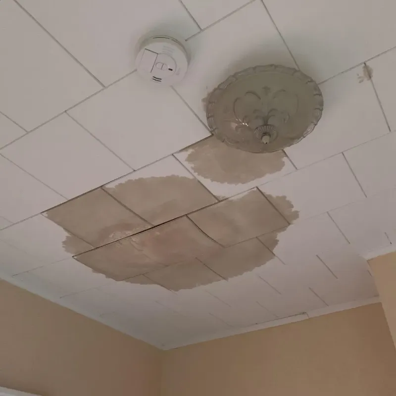 Ceiling Water Damage Repair in Moraine, OH
