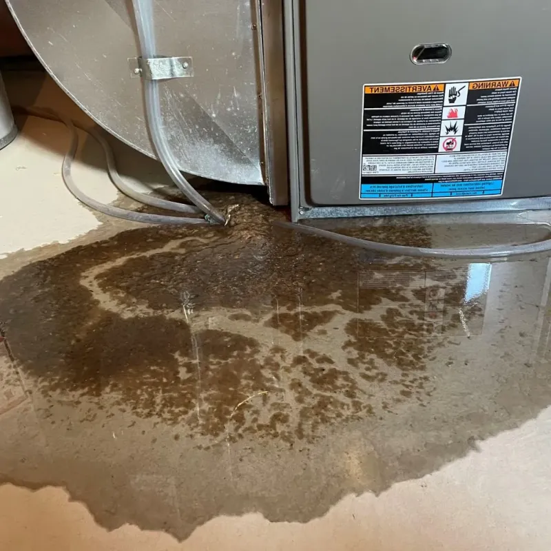 Pipe Burst and Leak Restoration in Moraine, OH