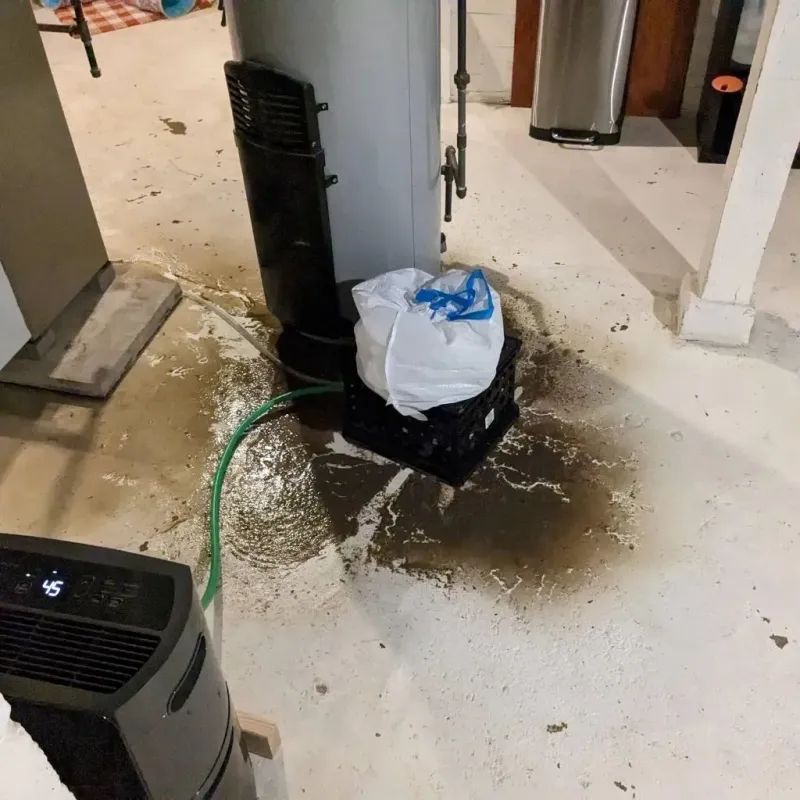 Sewage Backup Cleanup Service in Moraine, OH